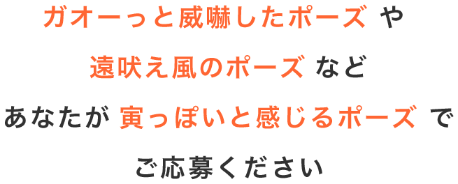 つむぐモデル募集コンテスト つむぐポストカード