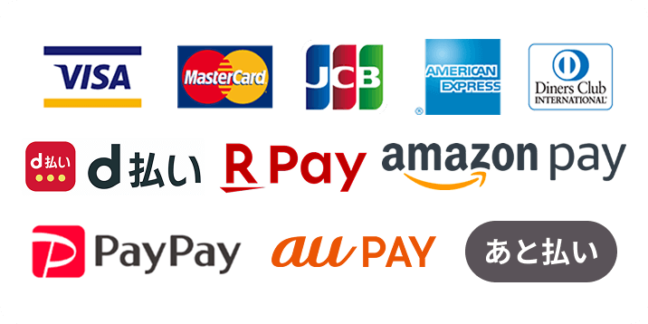 visa mastercard JCB D払い 楽天pay amazon pay PayPay au pay あと払い